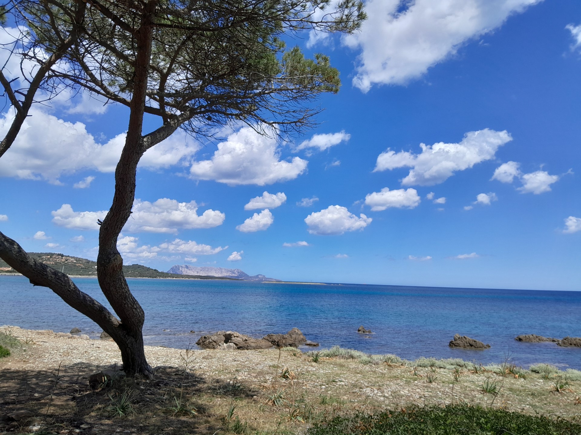 gadduresa_coltelli