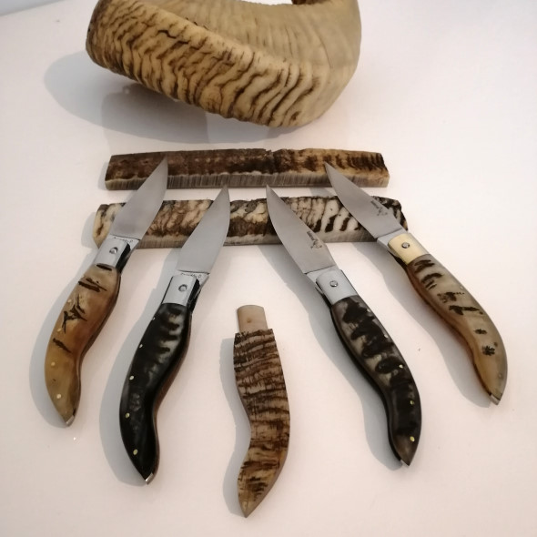 Gadduresa Coltelli